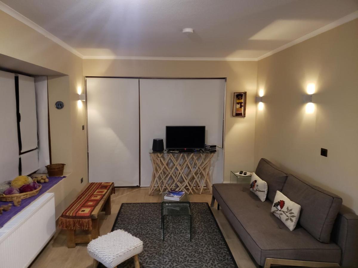 Valle Nevado Vip Apartment Ski Out-In Εξωτερικό φωτογραφία